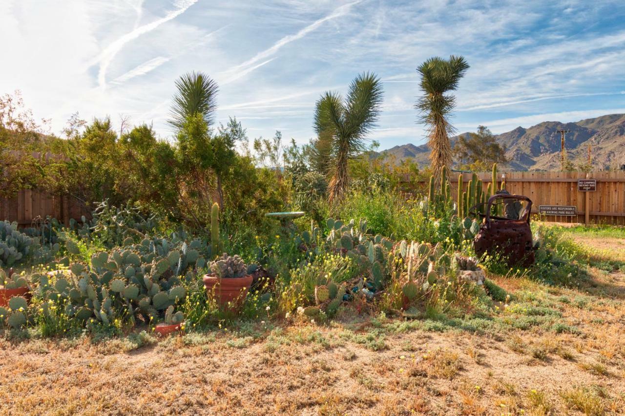 הוילה טוונטיניין פאלמס Cactus Adobe מראה חיצוני תמונה