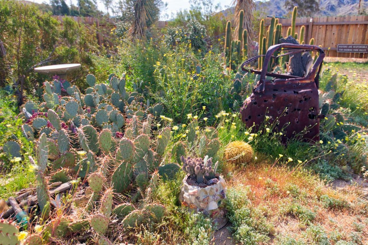 הוילה טוונטיניין פאלמס Cactus Adobe מראה חיצוני תמונה